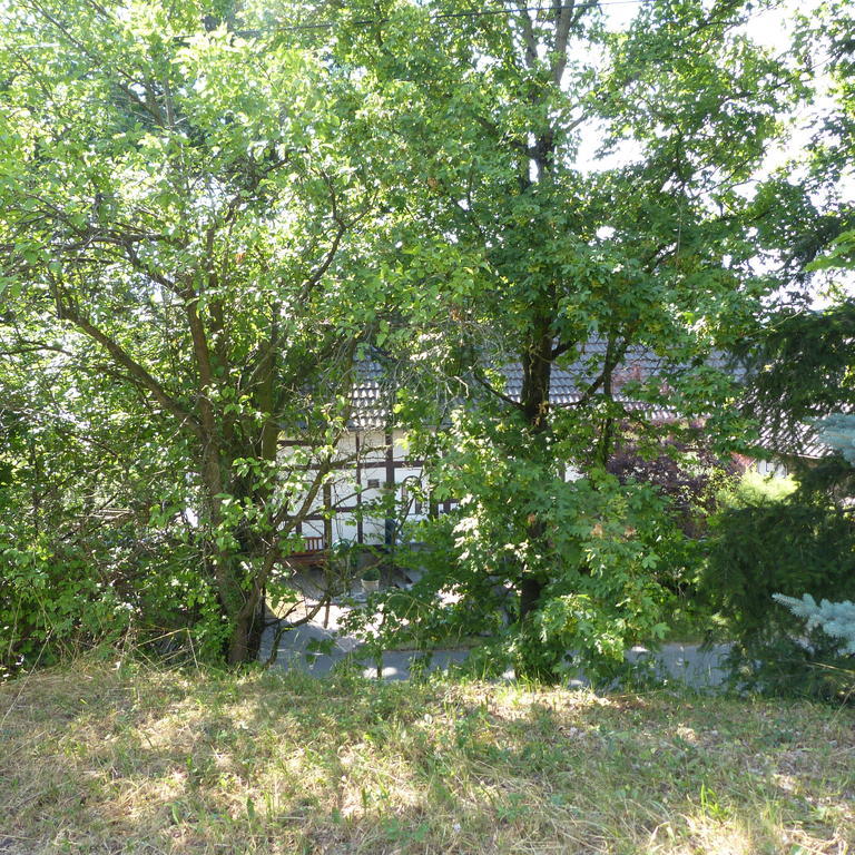 Pension Ridder Marienmunster Экстерьер фото